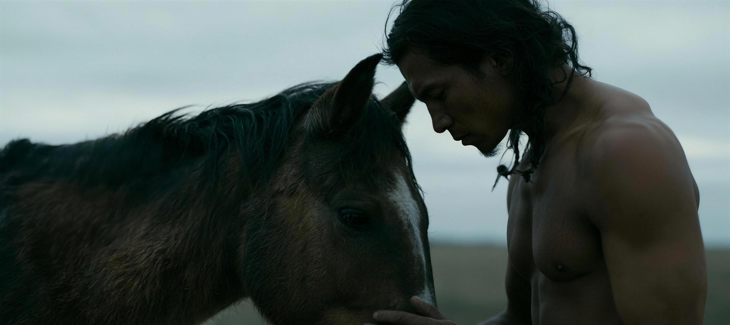 A rider and a horse, forehead to forehead.