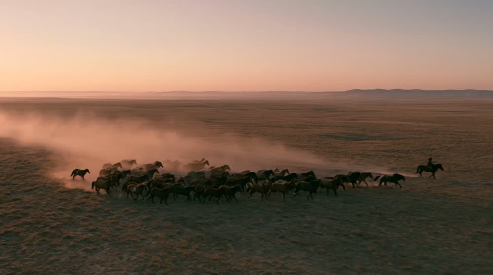 A frame from God Dogs: a horse herd at dawn.